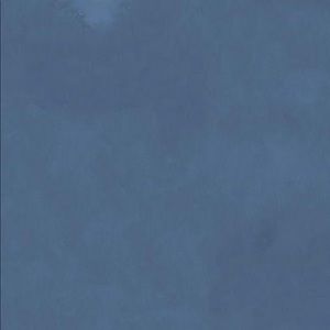 Meet your Posher, Ayianna